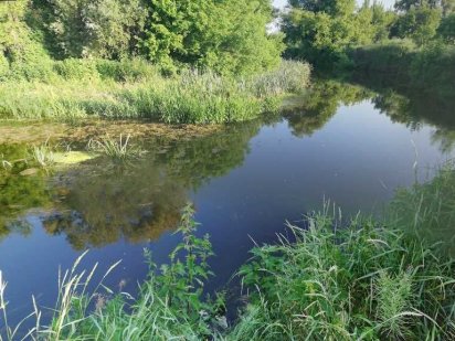 Продаж ділянки 12 соток+,м.Ірпінь,Київ