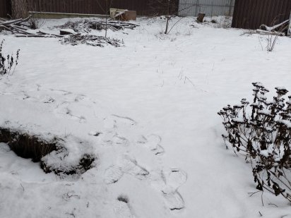 Ділянка в хорошому спокійному місці.