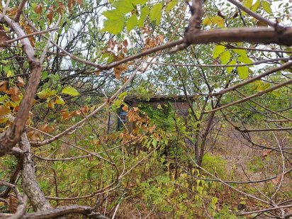 Дача 6 соток,  кооператив Надія Кривий Ріг