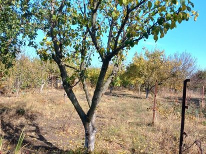 Продам дачный участок. Кривой Рог