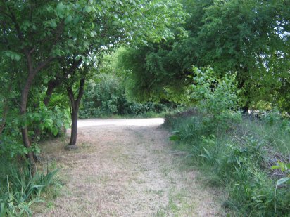 продам пай 8,72 га Кривий Ріг