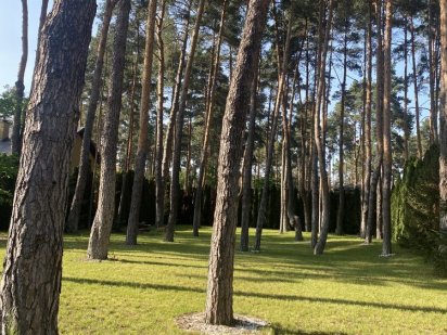 Земельна ділянка біля Тоскани Гриль. Лісова Буча