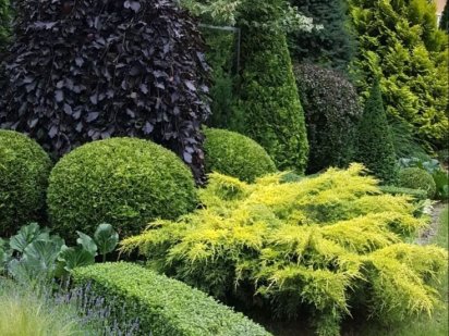 Фасад 23,5 метра Земельна ділянка (участок) Бориспіль 10 соток Бориспіль