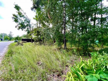 Буча Франка 5 соток, фасад.