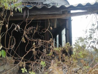 Пробам земельну ділянку Буча СТ Берізка