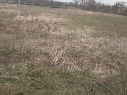 Терміново продам землю у Бузовій Київської області Буча