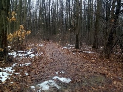 Продається дачна ділянка у лісі Ивано-Франковск
