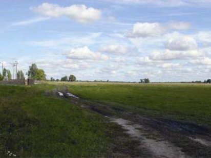 Борипольская Броварская Окружная Александровка 16 га +44га Бориспіль