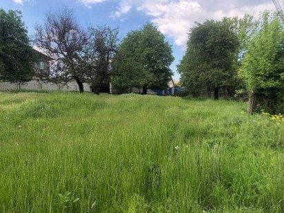 Продам земельну ділянку в Бучі, 6 соток. 25000у.о.