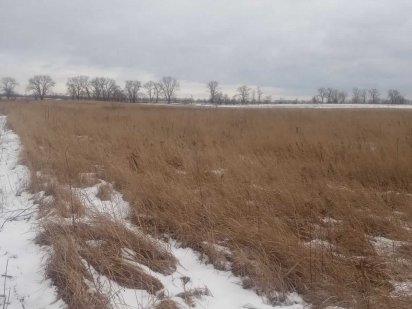 Продам участок 12 сот.Бориспіль, район Сади Бориспіль