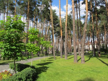 Продається ділянка м. Ірпінь 9,5 соток з будинком Ірпінь