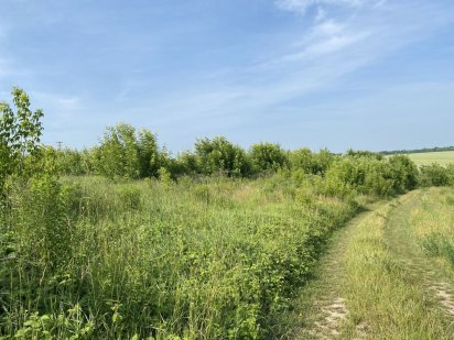 Земельна ділянка комерційного призначення Рівне