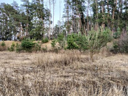 Продам участок в Сумах Суми