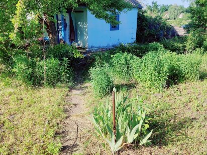 Продам дачный участок Суми