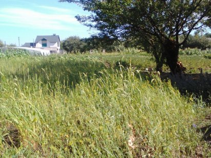 Продажа дачи в черте города Сумы (веретеновка) Суми