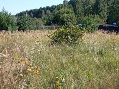 Земельна ділянка. Козинські горби. СТ Райдуга Переяслав-Хмельницький