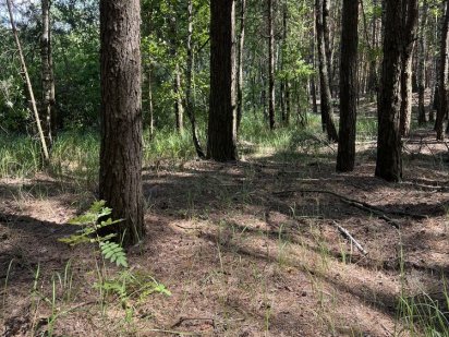 Продам земельну ділянку Переяслав-Хмельницький