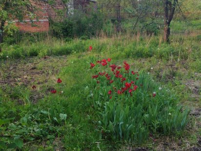 Продам земельний участок барановка Суми