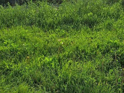 Земельна ділянка в зеленому місті з коммунікаціями Суми