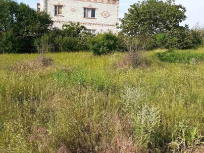 Продам землю сільськогосподарського призначення