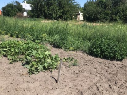 Земельна ділянка під забудова Переяслав-Хмельницький