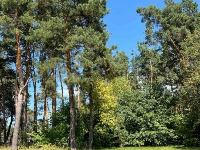 Продаж 10 соток на Крутом берегу Полтава