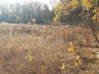 Продам участок срочно косовщина Суми