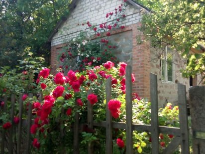 Продам земельну ділянку Полтава