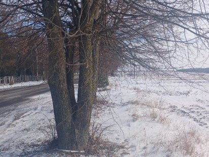 Продам комерційну ділянку Ровно