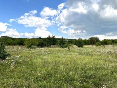 Продаж земельної ділянки неподалік Кленового Гаю Тернопіль