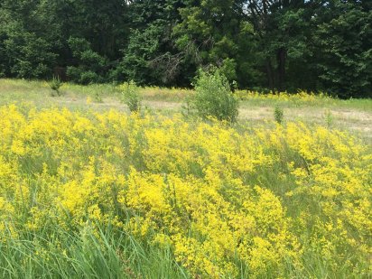 Продам участок земли  за Макдональдсом. Собственник. Полтава