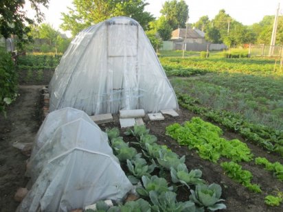 Продам дачу (земельный участок), 15 соток, ул. Тополянская Суми