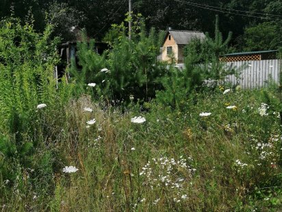 Земельна ділянка Полтава