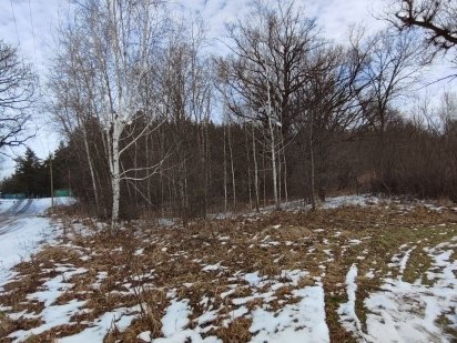 Чудова земельна ділянка у Вакуленцях! Полтава