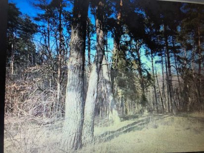 Продам участок под строительство дома на Крутом Берегу. Полтава