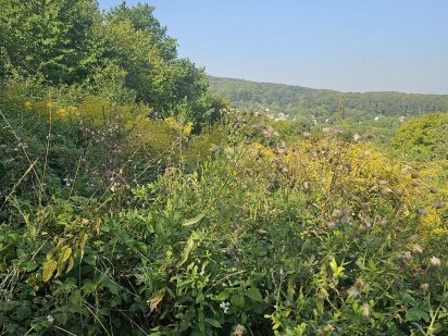 Терміново продається земельна ділянка Годилів Чернівці