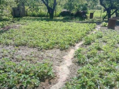 Продам земельну ділянку площею 6,1 сота під Полтавою Полтава