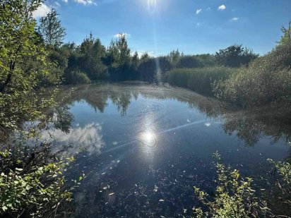 Продається земельна ділянка під словацьким кордоном. Ужгород