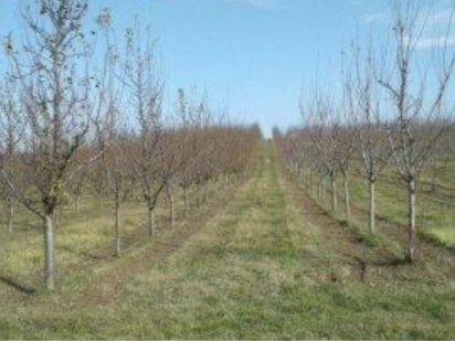 Власник. Під БУДІВНИЦТВО. 2.2 Га- Порозів. Район 4/4 Готеля. Рівне