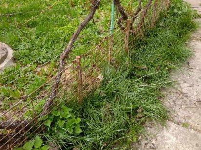 Продажа земельної ділянки Ближні П'ятничани 6с Винница