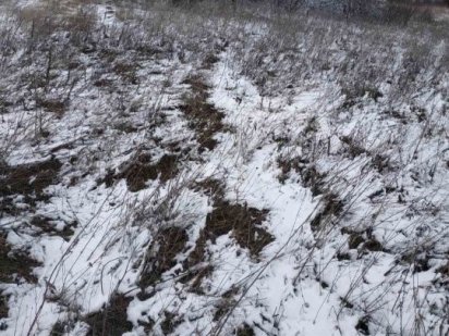 Чудова єземельна ділянка,недалеко від Києва!! Київ