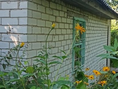 Продам будинок в Трисвятській Слободі, земельна ділянка 0,19 га Чернигов