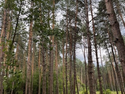 Земля під забудову, 50м від Києва, метро Бориспільська Киев