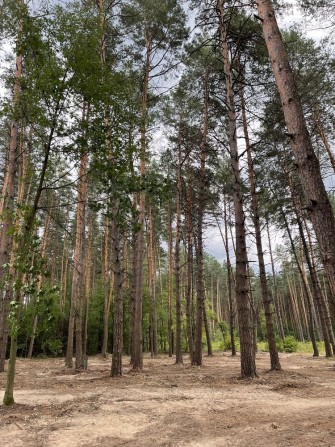 Земля під забудову, 50м від Києва, метро Бориспільська - фото 1