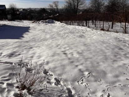 Земельна ділянка (0,0655) - м. Чернівці, вул. Кобринської Н., 15-А Черновцы