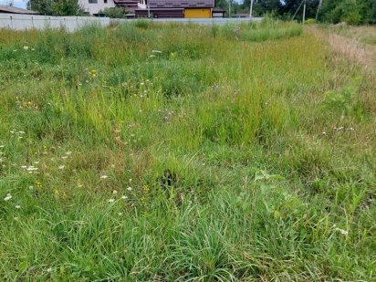 Терміновий продаж земельної ділянки в Стрижавці