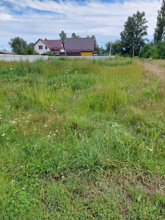 Терміновий продаж земельної ділянки в Стрижавці - фото 1