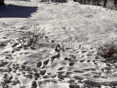 0,0655га, м. Чернівці, вул. Кобринської Наталії, 15-А Чернівці