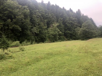 Земельна ділянка Чернівці