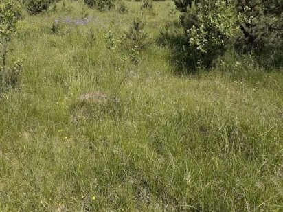 Продаж земельної ділянки Ужгород